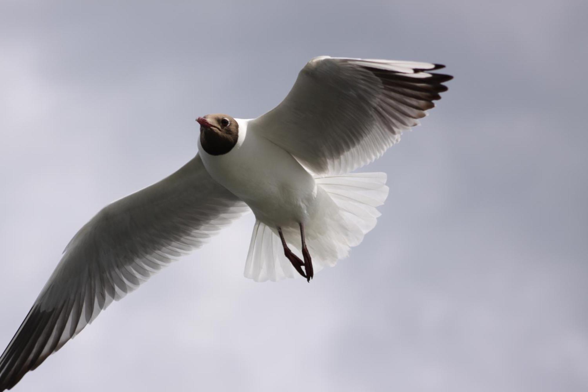 Pensjonat Mikolajki Bagian luar foto